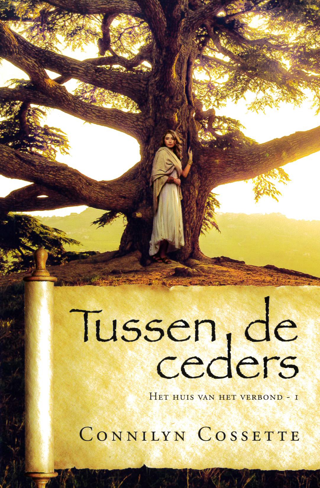 Productafbeelding: voorkant van Tussen de ceders