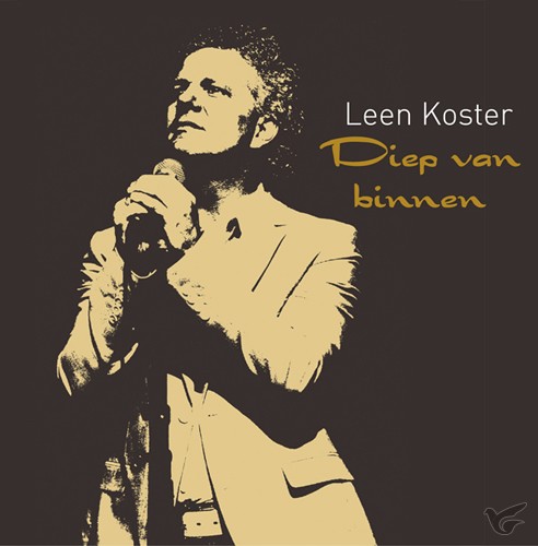 Productafbeelding: voorkant van Diep van binnen