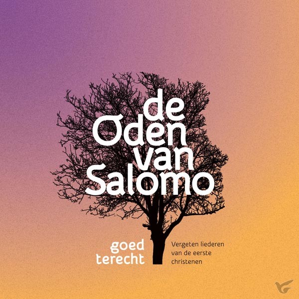 Productafbeelding: voorkant van Goed terecht