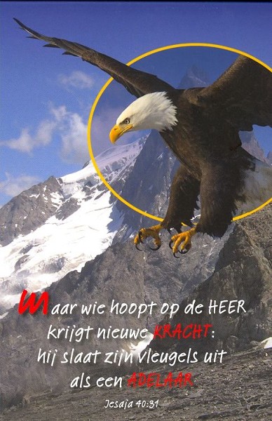 Productafbeelding: voorkant van Schrijfblok A6 arend Jesaja 40:31