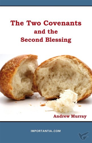 Productafbeelding: voorkant van The Two Covenants and the Second Blessin
