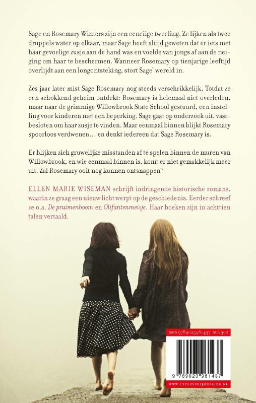 Productafbeelding: achterkant van De verdwenen meisjes van Willowbrook