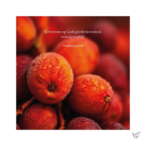 Productafbeelding: voorkant van Kaart Herfstbessen Psalm 52:10b