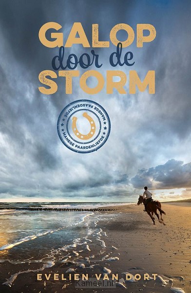 Productafbeelding: voorkant van Galop door de storm