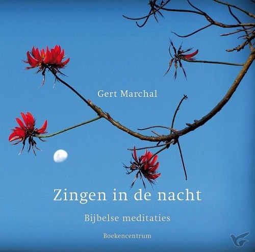 Productafbeelding: voorkant van Zingen in de nacht