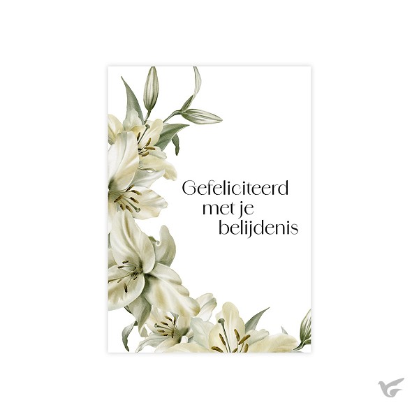Productafbeelding: voorkant van Voordeelkaart Gefeliciteerd met je belij