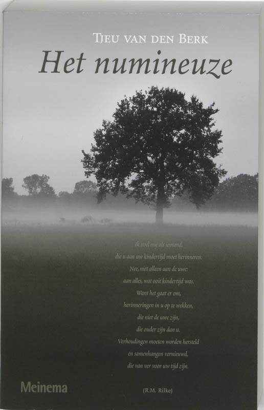 Productafbeelding: voorkant van Het numineuze