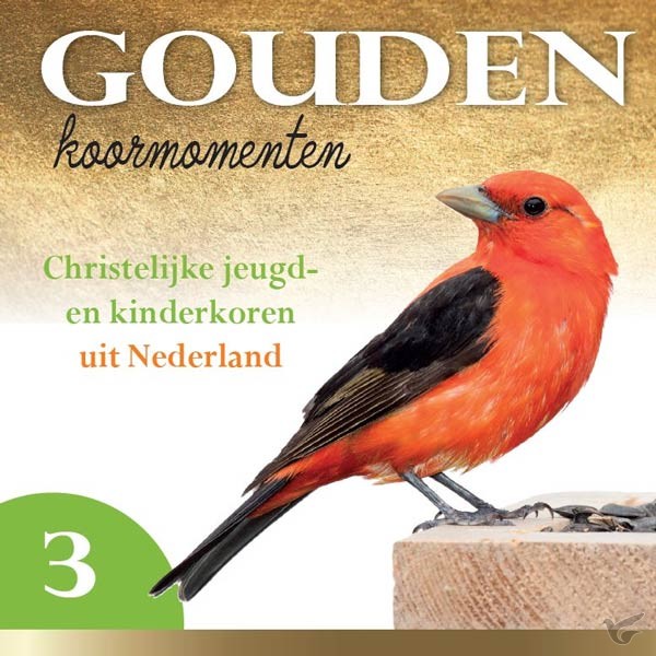 Productafbeelding: voorkant van Gouden koormomenten 3