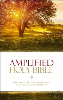 Productafbeelding: voorkant van Amplified Holy Bible - Thinline