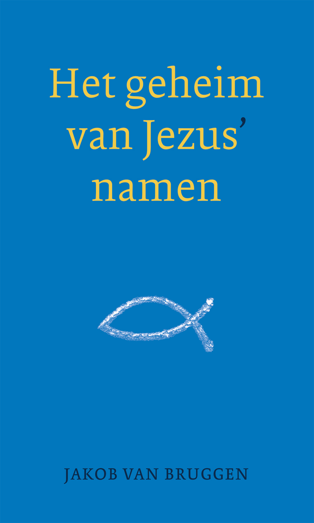 Productafbeelding: voorkant van Het geheim van Jezus' namen