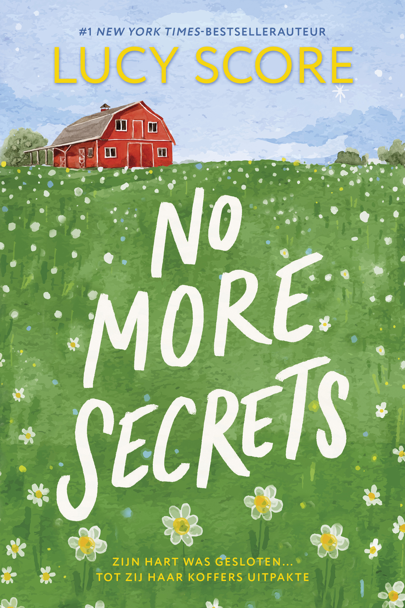 Productafbeelding: voorkant van No more secrets
