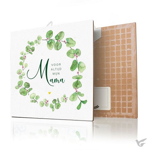 Productafbeelding: voorkant van Voor altijd mijn mama