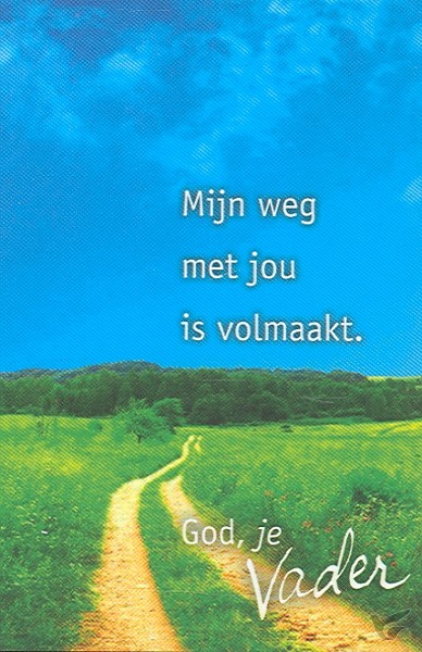 Productafbeelding: voorkant van Minikaart vhk Mijn weg met jou is volmaa