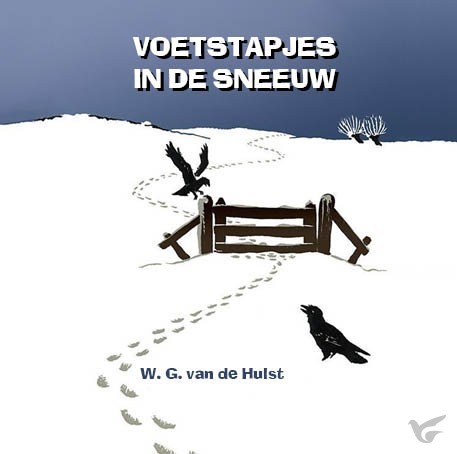 Productafbeelding: voorkant van Voetstapjes in de sneeuw LUISTERBOEK