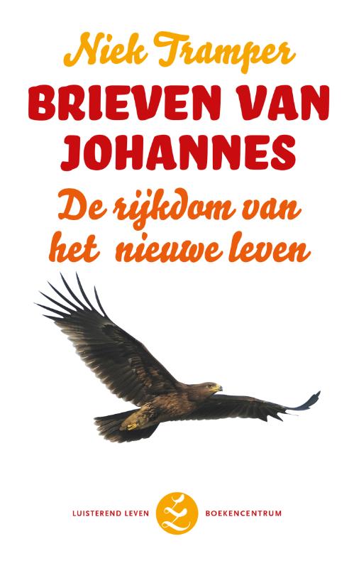 Productafbeelding: voorkant van Brieven van Johannes