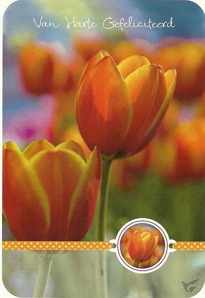 Productafbeelding: voorkant van Ansichtkaart met tekst MT143