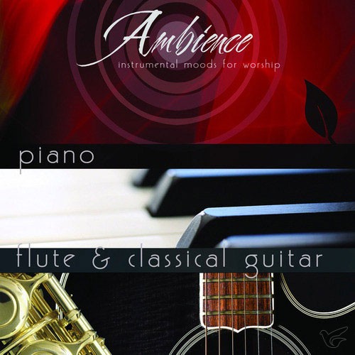 Productafbeelding: voorkant van Ambience Series 1+2 (2-CD)