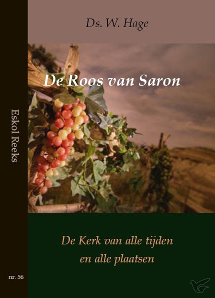 Productafbeelding: voorkant van Roos van saron