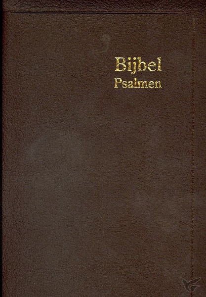 Productafbeelding: voorkant van Herenzakbijbel H35R RITMISCH leer goudsn