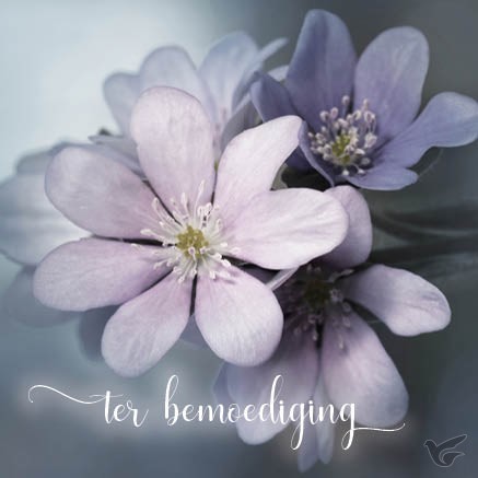 Productafbeelding: voorkant van Kaart ter bemoediging