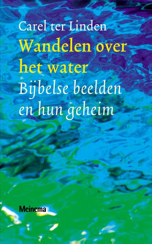 Productafbeelding: voorkant van Wandelen over het water