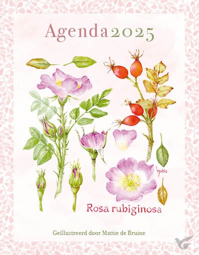 Productafbeelding: voorkant van Mattie agenda 2025