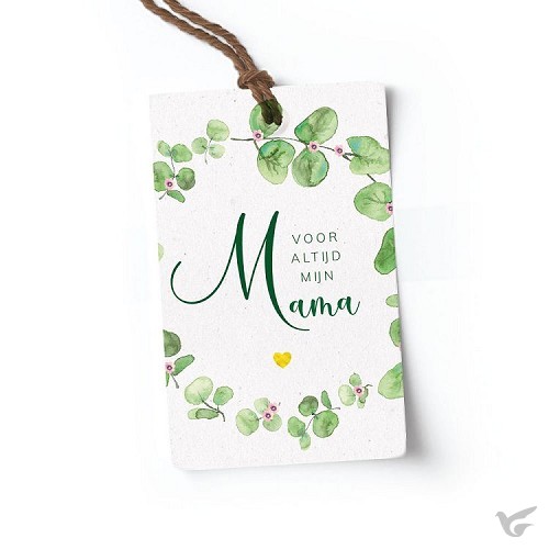 Productafbeelding: voorkant van Voor altijd mijn mama