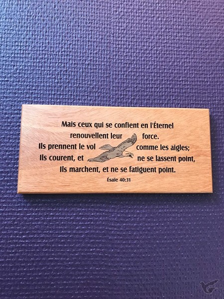 Productafbeelding: voorkant van Wandbord 22x10 mais ceux qui se confient