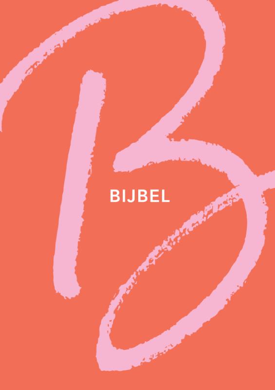 Productafbeelding: voorkant van NBV21 Tienerbijbel (oranje)