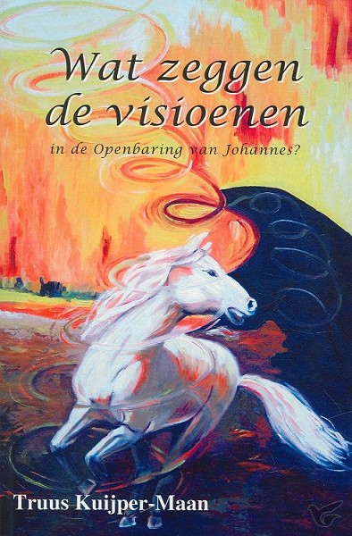 Productafbeelding: voorkant van Wat zeggen de visioenen