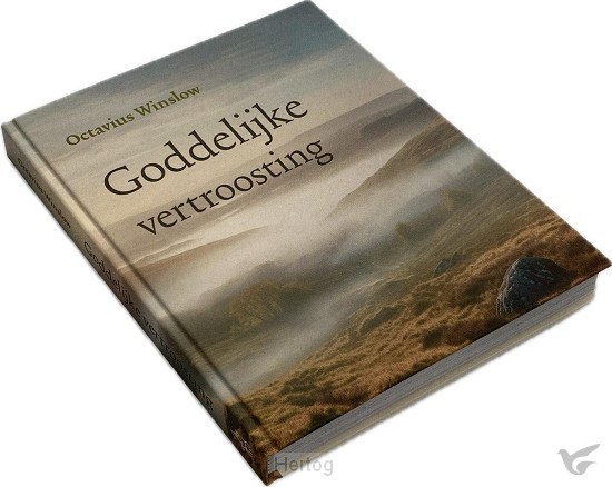Productafbeelding: voorkant van Goddelijke vertroosting