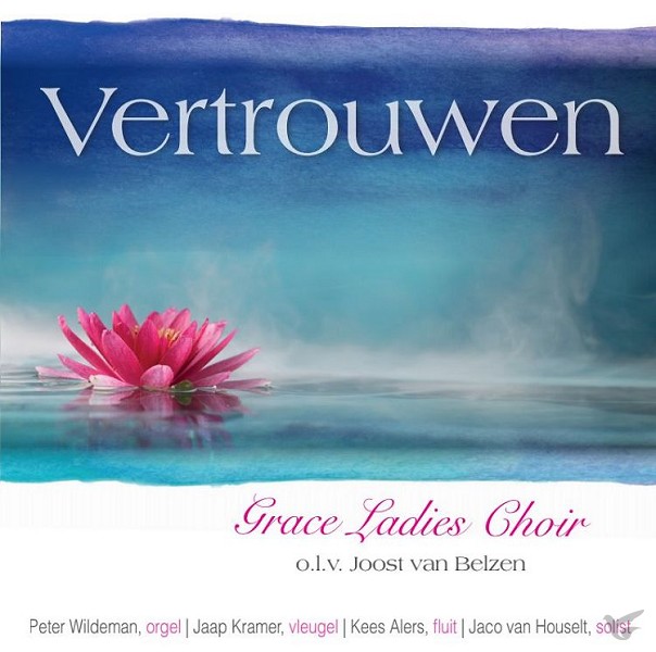 Productafbeelding: voorkant van Vertrouwen