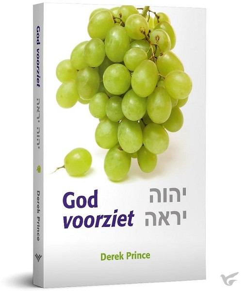 Productafbeelding: voorkant van God voorziet