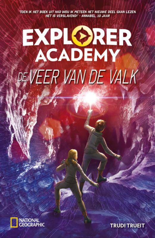 Productafbeelding: voorkant van De veer van de valk