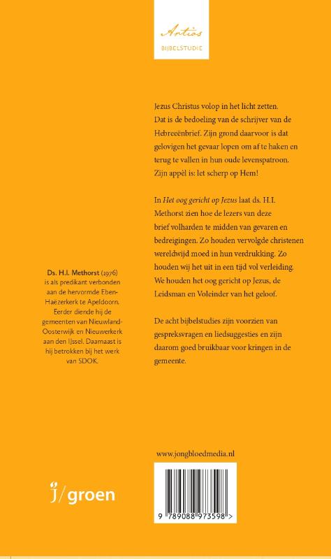 Productafbeelding: achterkant van Het oog gericht op Jezus